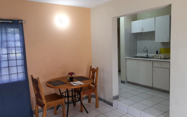Camelia Rooms