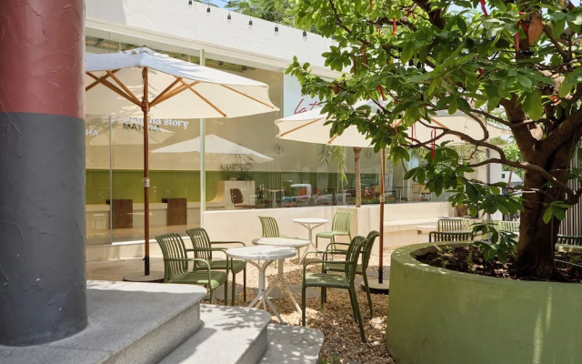 Kin Wander Trung Son