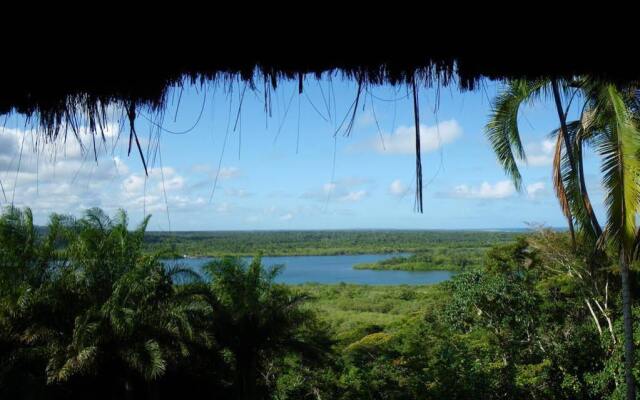Eco Rainforest House