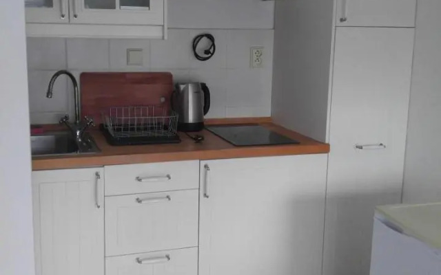 Vitkov Park Apartment