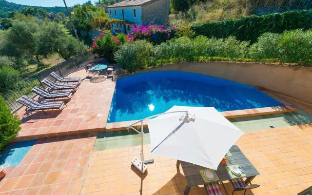 SON Voltor DE Galilea