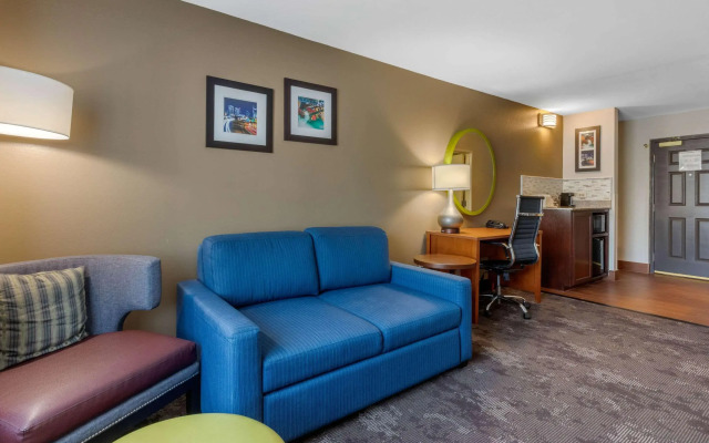 Comfort Inn & Suites Nashville Near Tanger Outlets