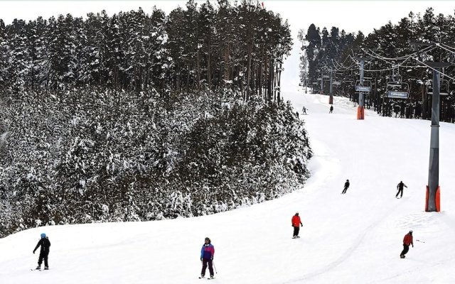 Sarikamis Kayi Snow Otel