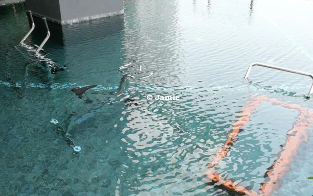 Muji Home 1 - Sea and City View 2BR at 218 Tropicana NEAR Komtar FoodHeaven Heritage with Netflix – Pool – George Town