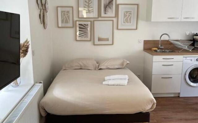 Le Manoir 1 Studio RDC Lumineux