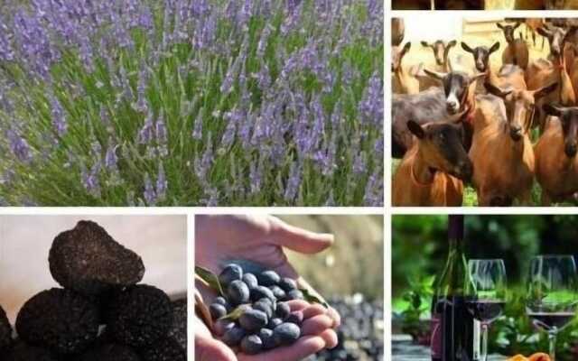 La Ferme les Eybrachas