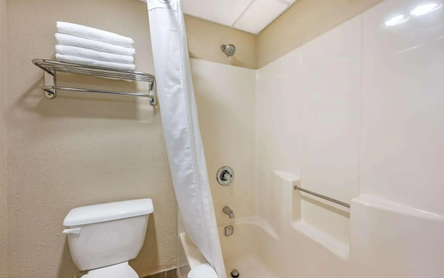 Comfort Inn & Suites East Hartford - Hartford