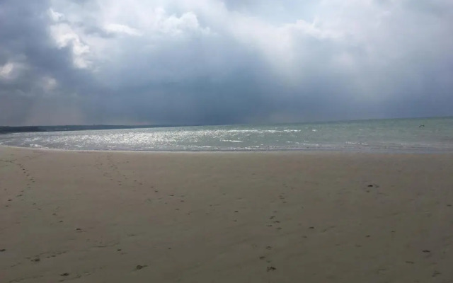 Face A La Mer , L Artiste