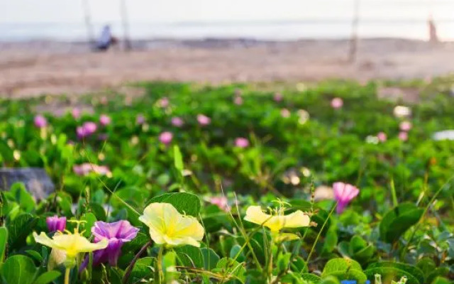 Yunhai Guanxin Hotel