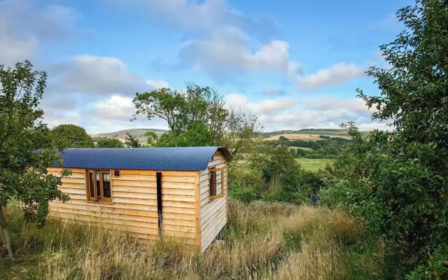 Woodpecker Hill - Apple Orchard in Alfriston