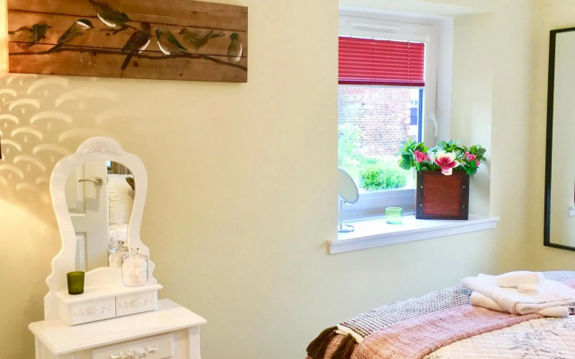 The Little Beech Tree