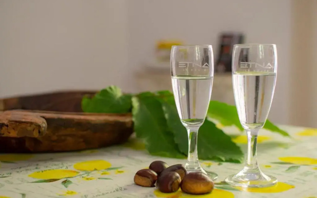 LN ETNA HOUSE-villa ad uso esclusivo