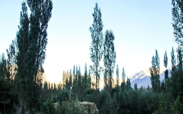 Goba Guest House