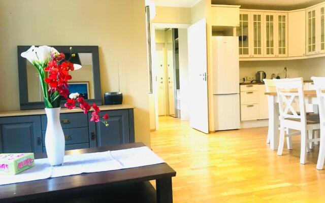 Cozy city penthouse apartment, free parking