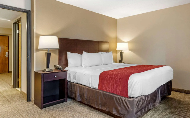 Comfort Inn Lansing West