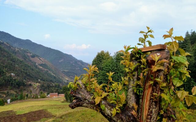 Retreat at Damaar