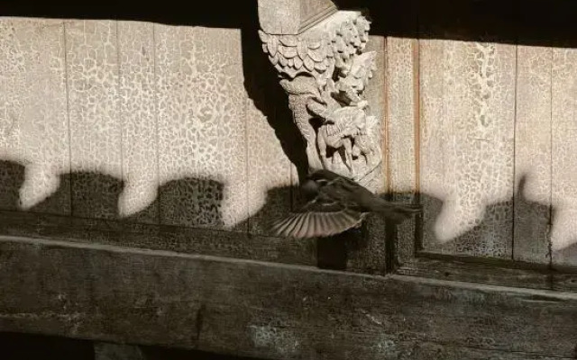 Tingxueyuan
