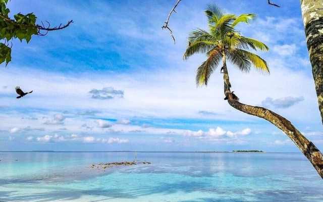 Villa Stella, Rinbudhoo