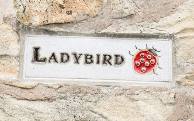 Ladybird