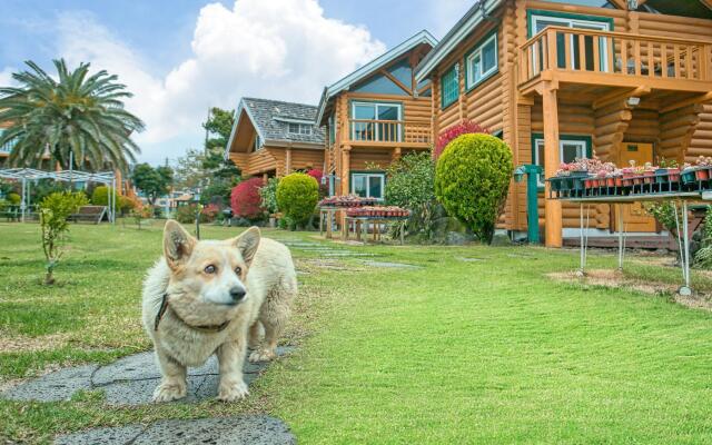 Seogwipo Neulbada Pet Pension