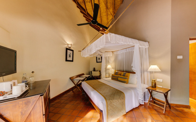 Cinnamon Wild Yala
