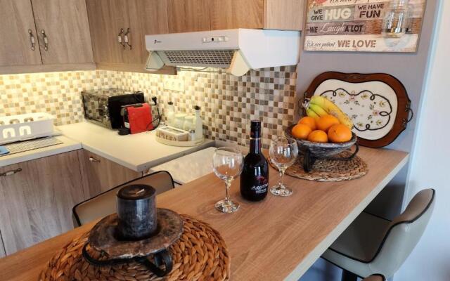 Stylish Luxury Loft Apartment Sofia