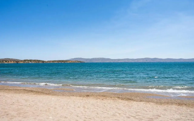 Olive Grove Villa by the Beach
