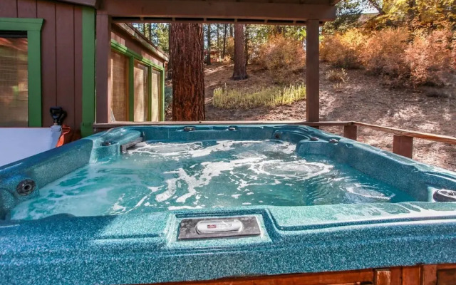 Pines and Needles 1454 by RedAwning