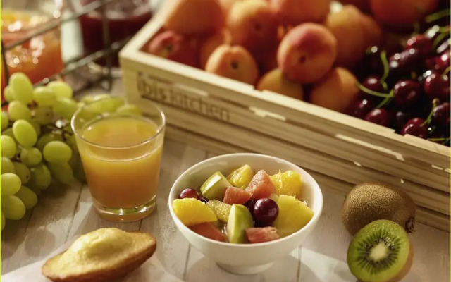 ibis Mulhouse Bale Aeroport