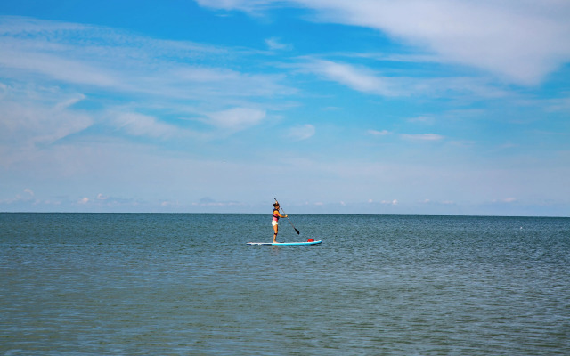 The Kingsville House