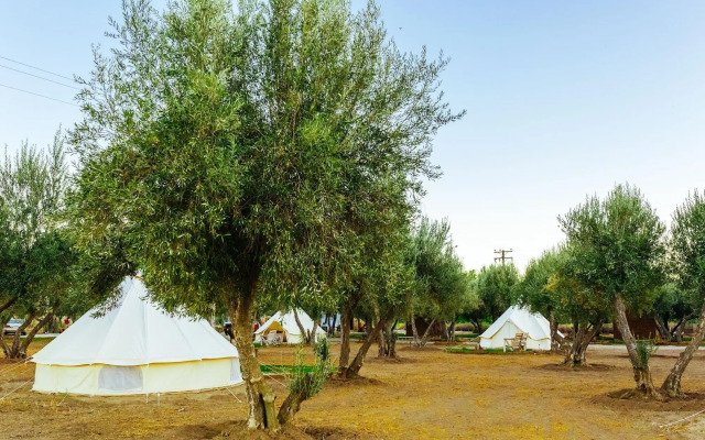 Guadalupe Valle Glamping