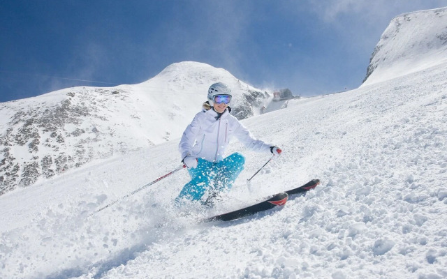 Ferienhaus Dr Steiner Zell am See