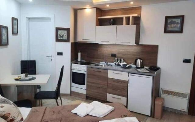 Studio MIPS S58 Milmari Resort Kopaonik