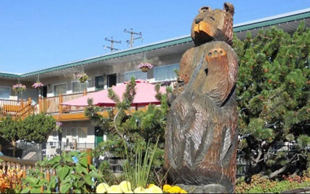 Lazy Bear Lodge