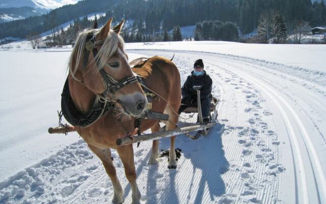 Inviting Apartment in Auffach Wildschönau near Ski Area