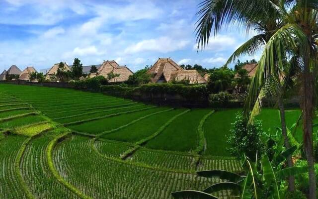 Canggu Beach Hostel