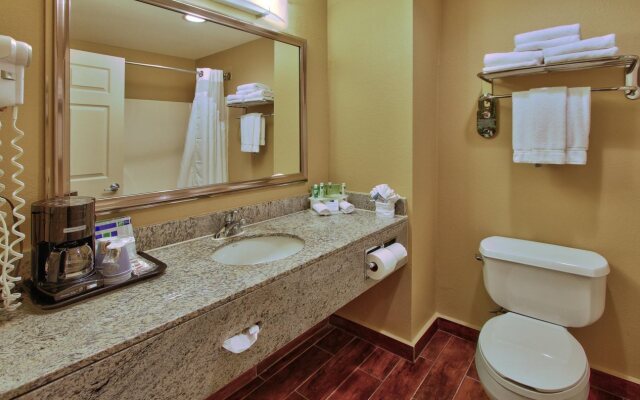 Holiday Inn Express Hotel & Suites Houston-Downtown Conv Ctr, an IHG Hotel