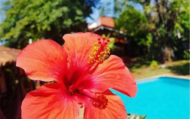 Iguazu Falls Hostel