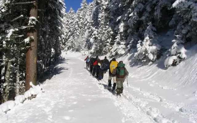 Résidence Nemea La Soulane