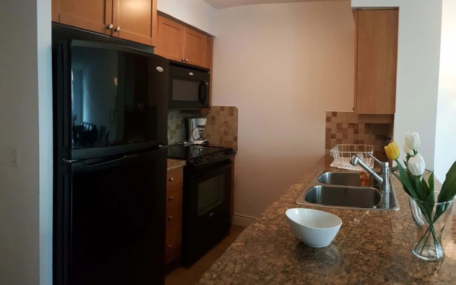 Kashaneh at Meridian (1+1 bedroom)