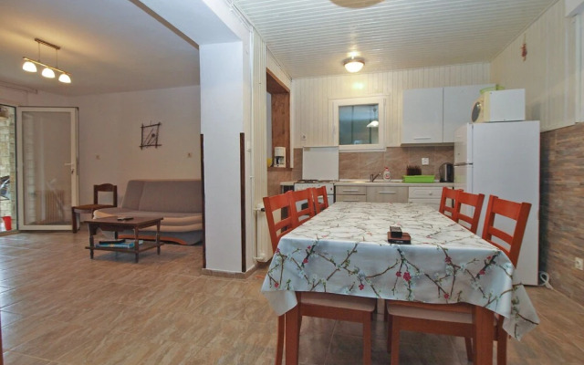 Apartment 1954