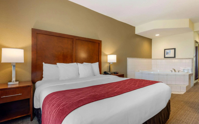 Comfort Inn & Suites Northeast - Gateway