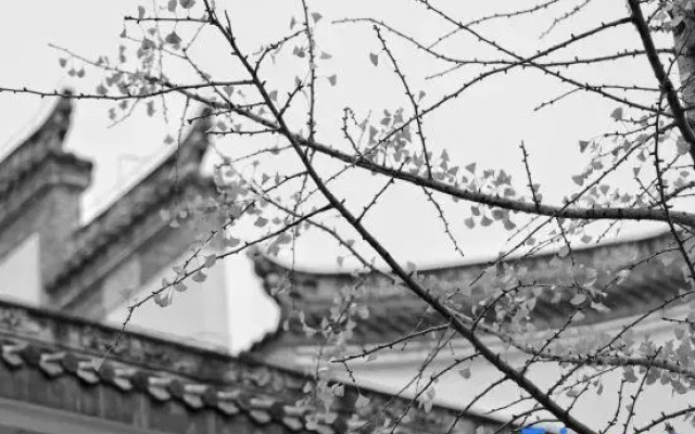 Tao Ran Hotel (Mount Wuyi Ziyang Ancient Town North Street)