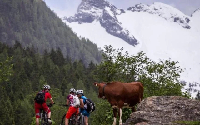 Smaragdhotel Tauernblick