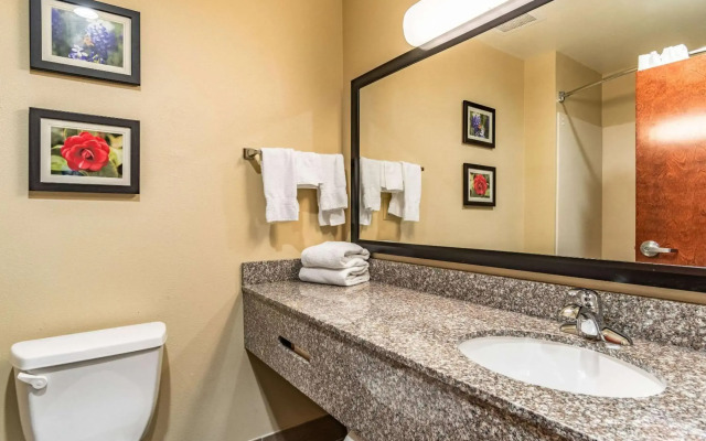 Comfort Inn & Suites Tuscumbia - Muscle Shoals