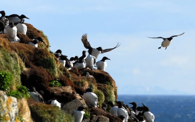 Ekker Island Arctic Lodge