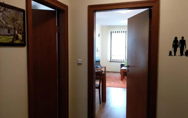 Pine Tree Studio B11