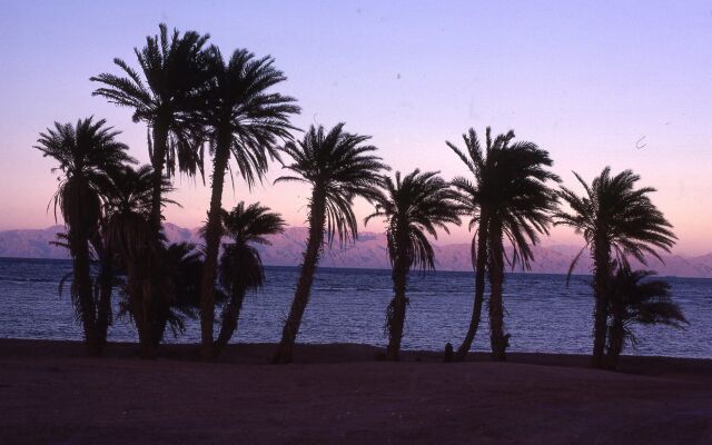 Star Of Dahab