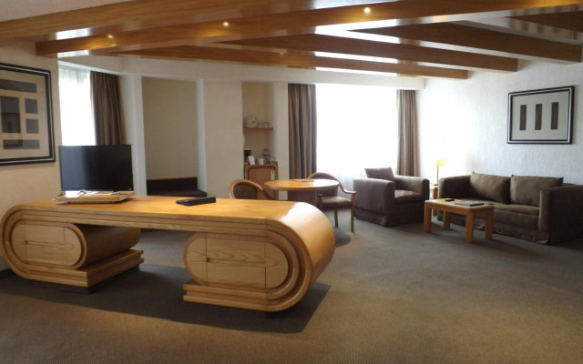 Royal Pedregal Hotel