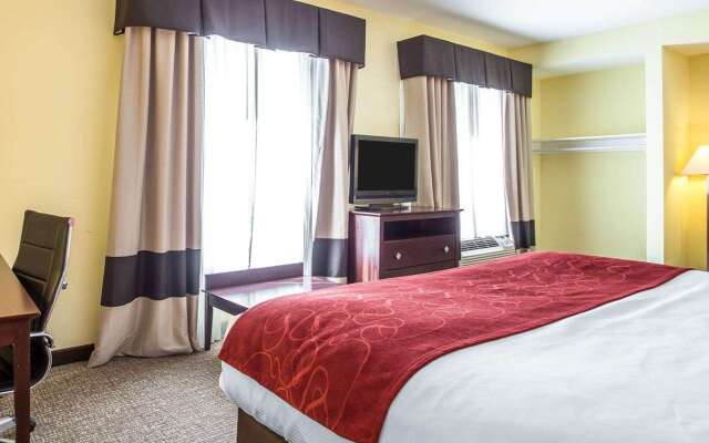 Comfort Suites Rock Hill Manchester Meadows Area